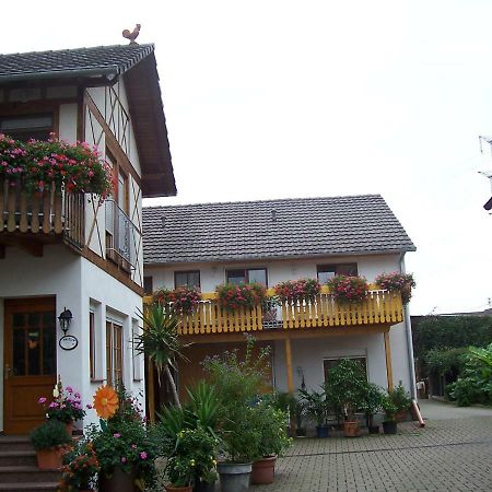 Meyerhof Apartment Wittenweier Exterior foto