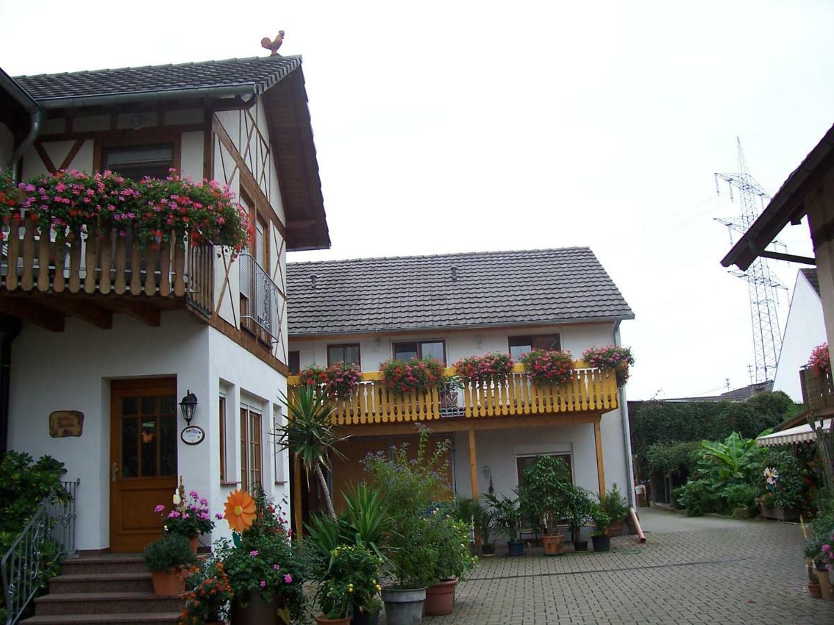 Meyerhof Apartment Wittenweier Exterior foto
